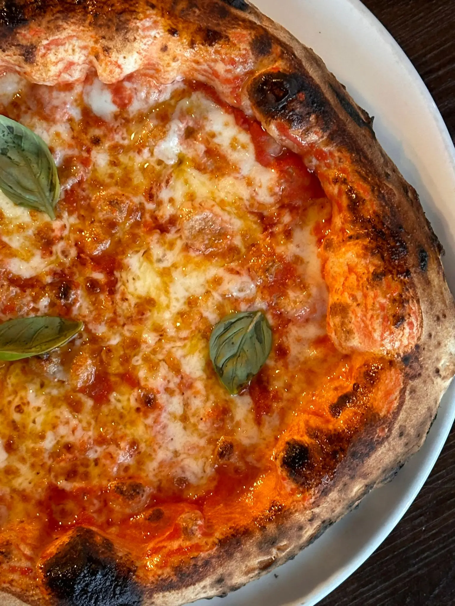 Pizza Margherita aus dem Steinofen