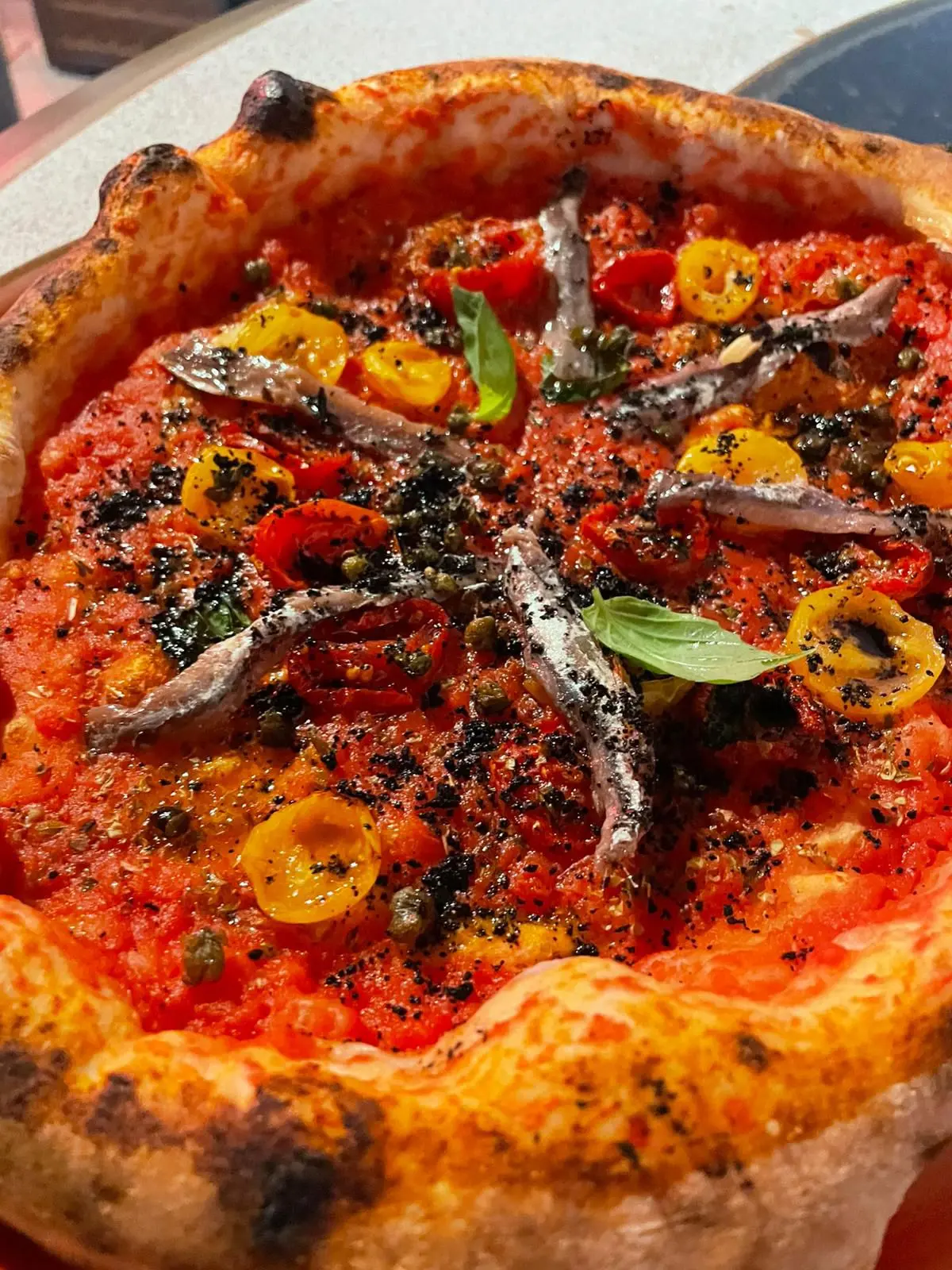 Pizza mit Sardellen und Tomaten